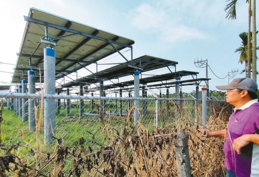 臺媒：農(nóng)田“種電”讓農(nóng)民苦不堪言，島內(nèi)面臨農(nóng)電兩失困境