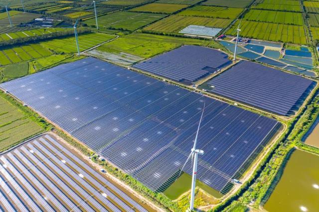 中國“雙碳”之路，要怎么走?