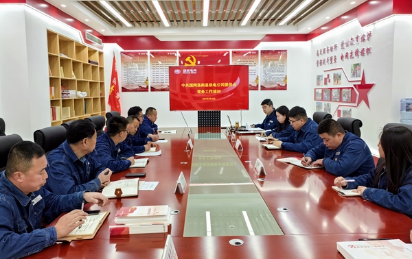 國網(wǎng)洛南縣公司開展黨支部標準化建設(shè)培訓