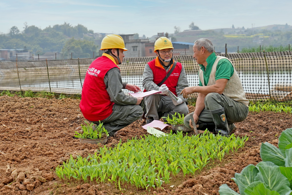 重慶合川:電力護春耕 不負好農(nóng)時