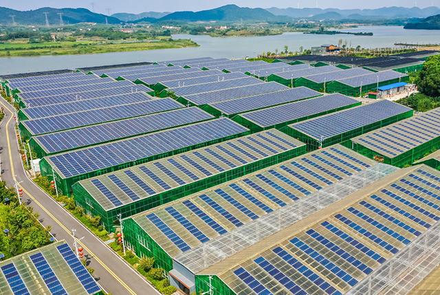 運鴻集團(tuán)攜手光伏清潔能源，開啟綠色產(chǎn)業(yè)新篇章