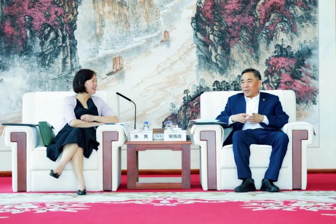 中國能建黨委書記、董事長宋海良與絲路基金董事長朱雋會談