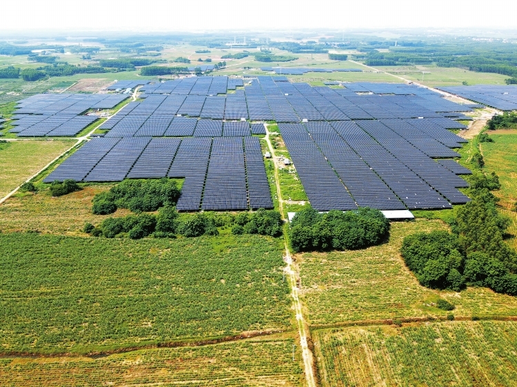 廣西電網(wǎng)全力服務農(nóng)村能源革命試點縣建設