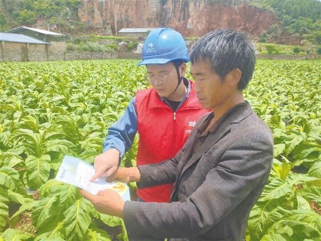 云南宣威供電局優(yōu)質服務助煙農(nóng)增收