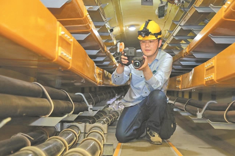 董力文：向下扎根，向上生長