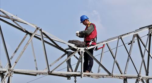 國(guó)網(wǎng)商丘供電公司:愛(ài)鳥(niǎo)護(hù)線 奏響和諧曲