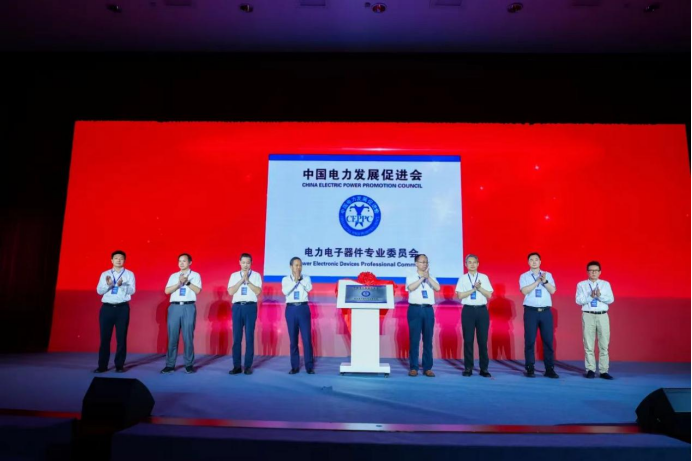 中國(guó)電力發(fā)展促進(jìn)會(huì)電力電子器件專業(yè)委員會(huì)成
