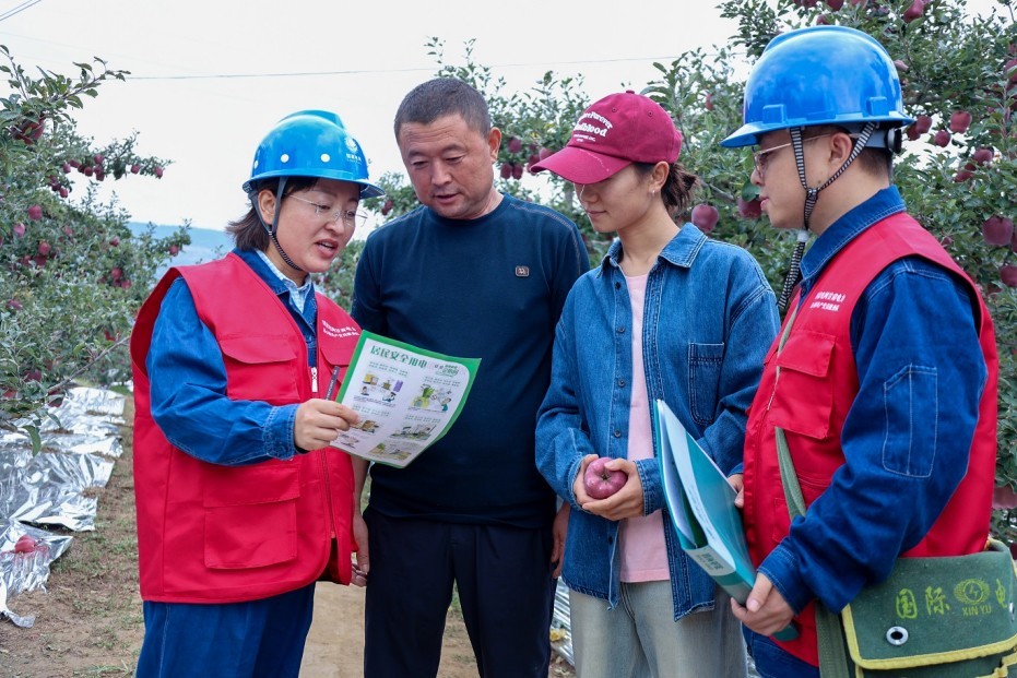 “紅褂子”服務紅蘋果,電力服務“滿格貼心”