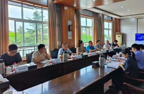 “氫”裝上陣，自貢市加快推動氫能全產(chǎn)業(yè)鏈發(fā)展