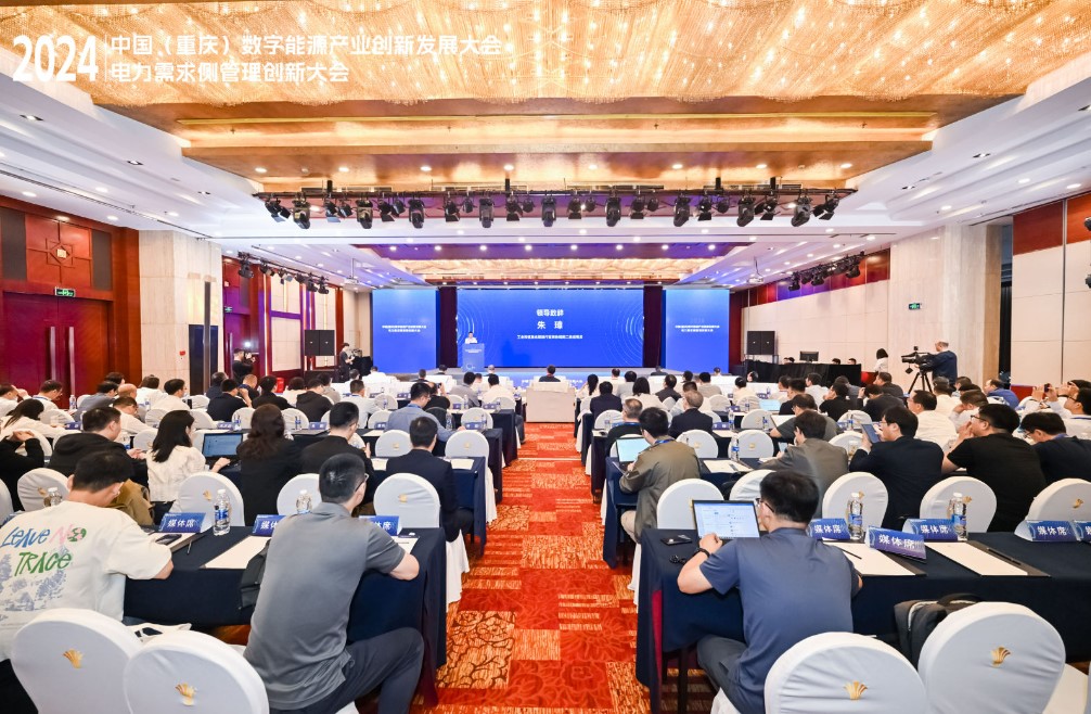 2024年電力需求側(cè)管理創(chuàng)新大會(huì)圓滿(mǎn)召開(kāi)