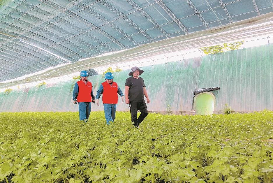 寧夏賀蘭縣：賀蘭山下，稻香魚肥