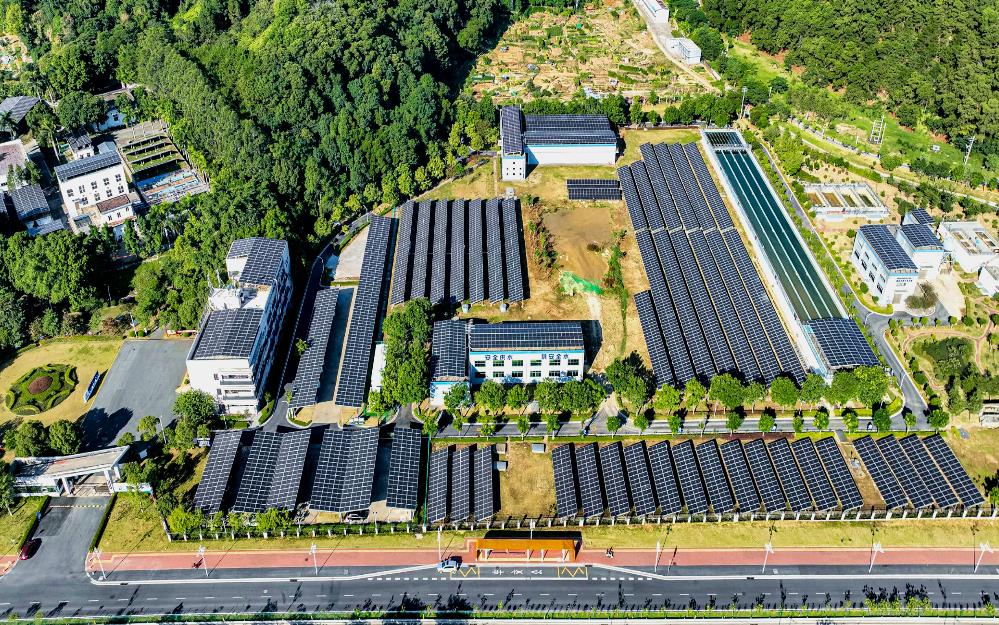 追“新”逐“綠” 粵?？毓杉瘓F(tuán)走實(shí)走好綠色低碳轉(zhuǎn)型高質(zhì)量發(fā)展道路