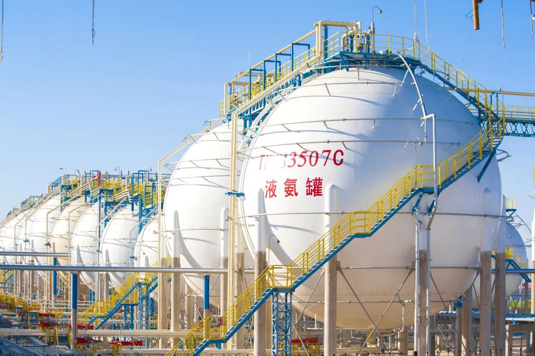 綠氫制綠氨，寧煤完成耦合示范!