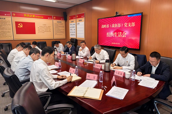 華能集團(tuán)黨組副書記張文峰參加集團(tuán)公司戰(zhàn)略部黨支部2024年度組織生活會(huì)